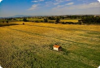 Участок под сельское хозяйство