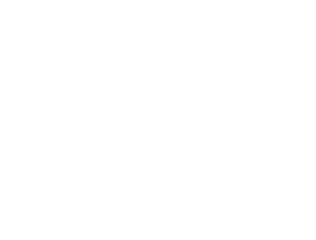 Magic city